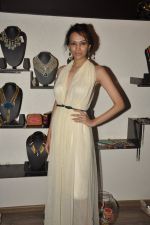 Dipannita Sharma at Atosa Fashion Preview in Mumbai on 22nd Feb 2013 (27).JPG